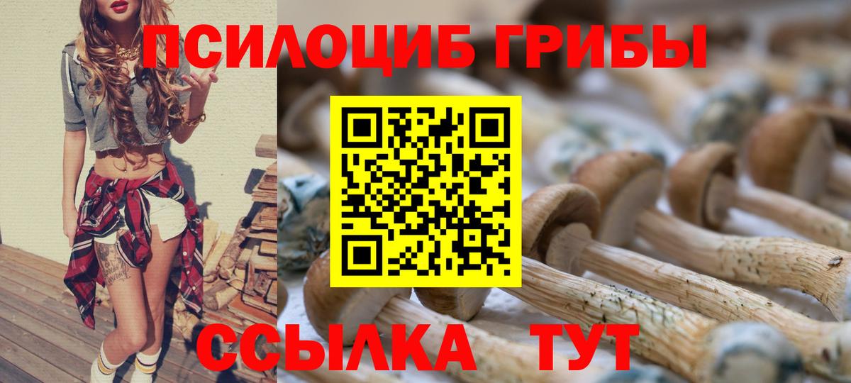Галлюциногенные грибы ЛСД  хочу   Ртищево  Вход с VPN 